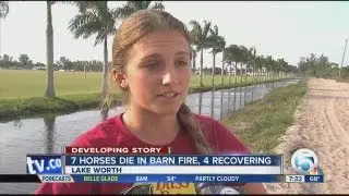 7 horses die in barn fire, reaction
