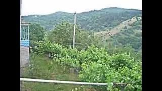 HAMAMLI