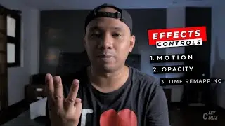 EFFECT CONTROLS IN PREMIERE PRO EXPLAINED (MOTION, OPACITY AND TIME REMAPPING)