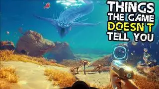 Subnautica 2: 10 Things The Game DOESN'T TELL YOU