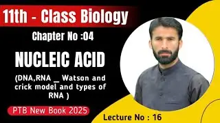 Nucleic Acids l DNA & RNA l Watson & Crick model l RNA types l Newbook 2025 l Class 11