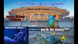 VGP Marine kingdom 🐬🐟🐠 All type of ocean fish there 🦐🐋🐳 Mermaid show 🧜🧜🧜 Raw video without Edit 🔥❤️