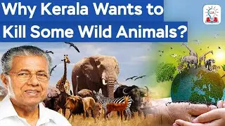 Why Kerala Wants Wildlife Act Amended | Human-Animal Conflict & Legal Push Explained I Legacy IAS