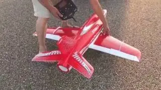 Freewing stinger 90  low fly.