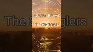 🎶😍 Golden Brown by The Stranglers 🧡 #Shorts #classicsongs #80smusic
