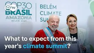 What's left of international efforts to curb Climate Change? | DW News