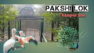🦏kanpur zoo|🦚pakshi/bird lok|🦢Saras bird|🦚peacock|#like #share #suscribe #trending #arif #saras