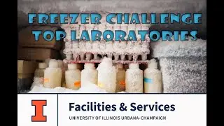 2020 Sustainability Celebration—Freezer Challenge Honors