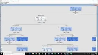 SAS Data Miner 5 minute video