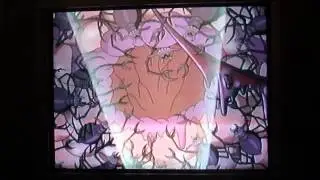 Opening To The Super Mario Brothers Super Show: Mario's Monster Madness 2002 VHS