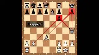 Trap  in Danish Gambit 👁&zwj;🗨 Stunning Knight Sacrifice and Unstoppable Checkmate  👌