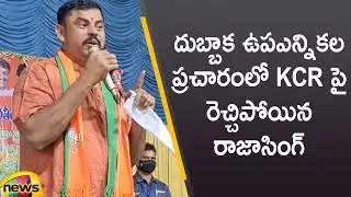 MLA Raja Singh Fires On CM KCR In Dubbaka By Election Campaign | #TelanganaLatestNews | Mango News