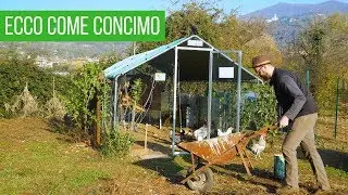 Come concimare con la pollina, stallatico e letame | Orto & Giardinaggio