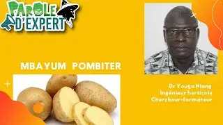 PAROLE D'EXPERT Mbayum Pombiter