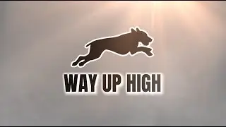 Way Up High - RunDownRiver