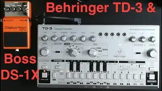 Behringer TD-3 & Boss DS-1X