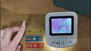 How to use this handheld portable microscope