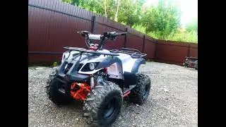 Обзор квадроцикла Mini Bull (Мини булл) ATV в магазине МОТАК Самара