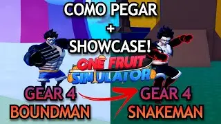 COMO PEGAR + SHOWCASE! GOMU AWAKEN! GEAR 4 E SNAKEMAN! ONE FRUITS SIMULATOR!
