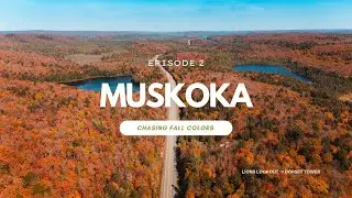 Chasing the Colors of Autumn | Lions Lookout + Dorset Tower at Sunset | Part 2