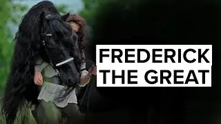 BLACK BEAUTY: FRIESIAN STALLION IS THE WORLD'S MOST HANDSOME HORSE