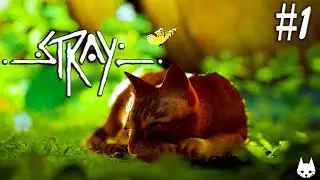 STRAY GAMEPLAY | THE CAT ADVENTURE | #1