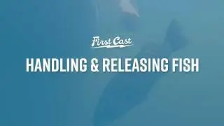 First Cast: How to Handle & Release Fish