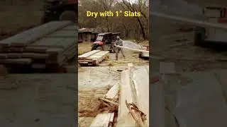 How to Air Dry Lumber 🪵