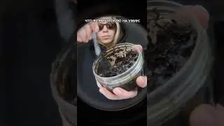 Эту историю писала сама жизнь! 🤣 #shisha #hookah #smoke #nuahule #кальян #хулиган #rap #art #funny