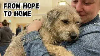 The Moment a Dog Chose Their Human Forever | An Adoption Story