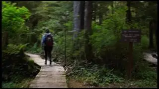 A Walk In Carmanah Walbran Provincial Park with my daughter.