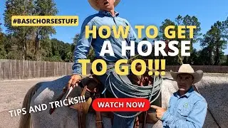 Basic Horse Stuff: Getting your horse to GO!