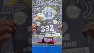 Duck Wins Marathon 🦆🥇