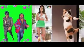 Participa&ccedil;&atilde;o no canal Cristiano bandog dos dan&ccedil;arinos e a dan&ccedil;arina e o grupo de teatro.