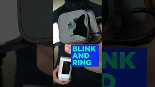 Blink или Ring: какая система домашней безопасности подойдет именно вам?
