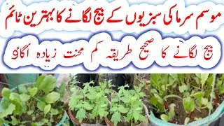 Best time for planting winter vegetables seeds at home|faster seeds germination use this method