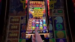 Buffalo Link - Double the Bonus, Double the Fun! #shorts