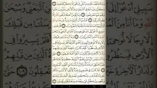 ماهر المعيقلي سورة يوسف مكتوبة صفحة 248 مصحف المدينة المنورة جودة عالية