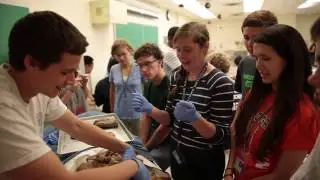 Georgetown Science & Medicine Programs for High School Students