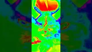 Flash Warning edits for Tazz