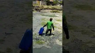 Cara Mencari Belut di tambak dengan 2 jari#shorts