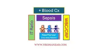 Positive Blood Culture (Correlates: Sepsis risk, WBC, IT ratio, CRP)