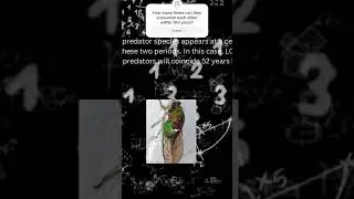 The Prime Time of Cicadas #art #nature #animals #math #maths #cicada #prime #numbers