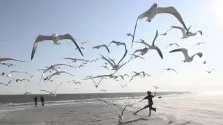 Passenger - Feather On The Clyde (Stefan Biniak Private Edit)