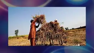DBT ICT 2G Ethanol Plant inaugurated at Uttarakhand