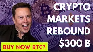 Crypto Markets Rebound $300 Billion: Bitcoin Above $36000 Once Again | Bitcoin News | Coin Craw