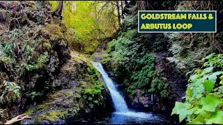 Hike to Goldstream Falls | Victoria BC