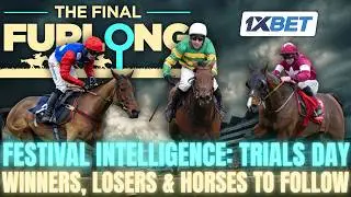 Cheltenham Trials Day Review: Champion Hurdle Chaos, Handicap Clues & Festival Angles