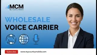 wholesale voice carrier : Empowering Connections: Mastering the Art of Wholesale Voice Carriers