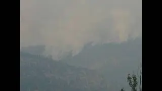 August 11 12am Update: Busting Intensity, NE E SW Holds, Watching Outliers, Elephant Hill Wildfire